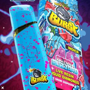 Burst Disposable Berry Blizzard